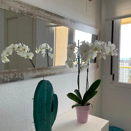 Apto One Day In Ambar Apartment Calp